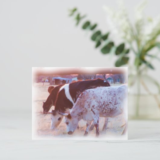 geen stier briefkaart (Staand voorkant)