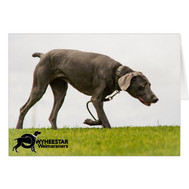 Geen Stormy Weather (Voorkant Horizontaal)