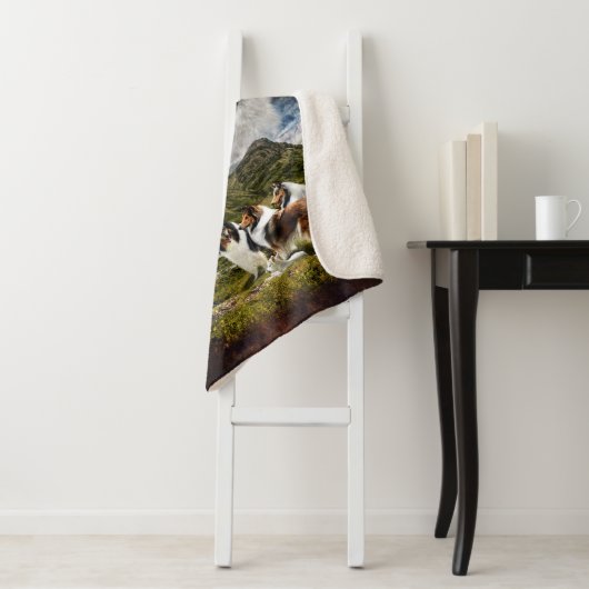 Geen thuis met collies, Sheep Herding, Rustic - Sherpa Deken (In situ)