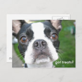 Geen traktaties briefkaart (Voorkant / Achterkant)