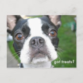 Geen traktaties briefkaart (Voorkant)