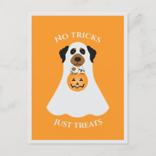 Geen trucs behandelen alleen Halloween Dog Briefkaart