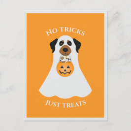 Geen trucs behandelen alleen Halloween Dog Briefkaart