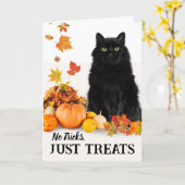 Geen trucs behandelt alleen Halloween zwarte kat Kaart (Gele Bloem)