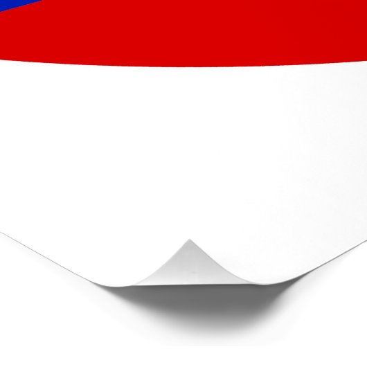 Geen Trump (rood en blauw) Poster (Hoek)