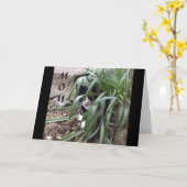 GEEN VERHEUGEN VAN DE WAARHEID "BESTE MOM" TER WER KAART (Gele Bloem)