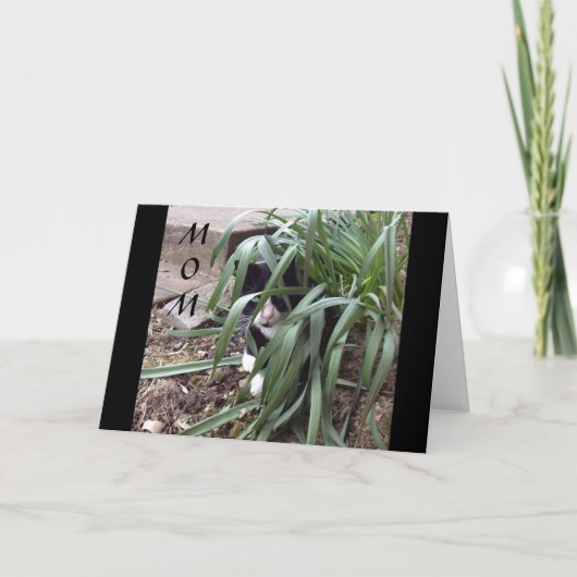 GEEN VERHEUGEN VAN DE WAARHEID "BESTE MOM" TER WER KAART (Voorkant)