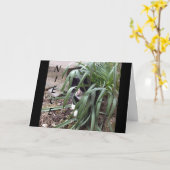 GEEN VERHINDERING VAN DE TRUTH "BESTE NIECE" IN DE KAART (Gele Bloem)