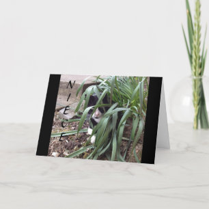 GEEN VERHINDERING VAN DE TRUTH "BESTE NIECE" IN DE KAART