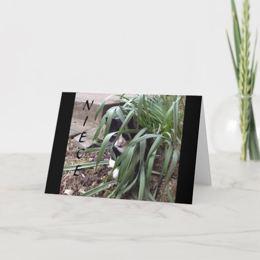 GEEN VERHINDERING VAN DE TRUTH "BESTE NIECE" IN DE KAART (Voorkant)