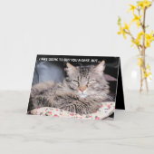 Geen verjaardagstaart, ik kan me niet zoveel kaars kaart (Gele Bloem)