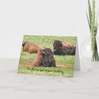 Geen vliegen op je verjaardag - Verjaardag Kaart