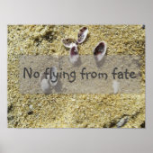 Geen vliegen vanuit de wijsheid van het gezegde po poster (Voorkant)
