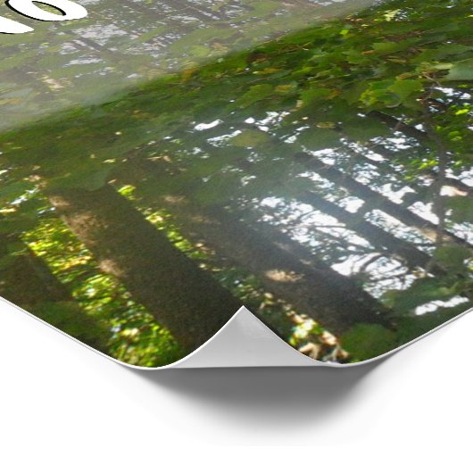 Geen vliegen vanuit de wijsheid van het lot Inspir Poster (Hoek)