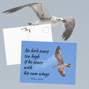 Geen vogel vliegt te hoog Quote Zeemeeuw in vlucht Briefkaart