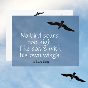 Geen vogel vliegt te hoog Quote Zeemeeuw in vlucht Briefkaart