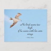 Geen vogelzuren te hoog in de zeegarnalen in het v briefkaart (Voorkant)