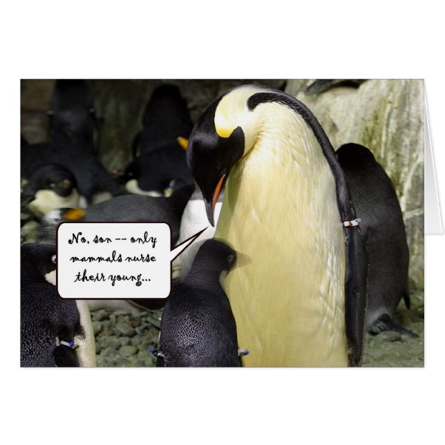 Geen vrije Lunch Penguin (Voorkant Horizontaal)