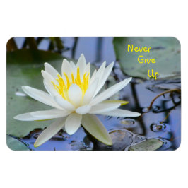Geen water Lily opgeven Magneet