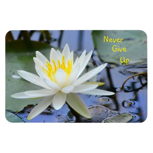 Geen water Lily opgeven Magneet (Horizontaal)