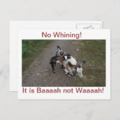 Geen Whining! Briefkaart (Voorkant / Achterkant)