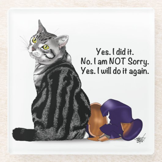 Geen wroeging Tabby Cat Funny Glazen Onderzetter (Voorkant)