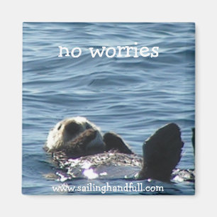 Geen zorgen over zee otter magneet