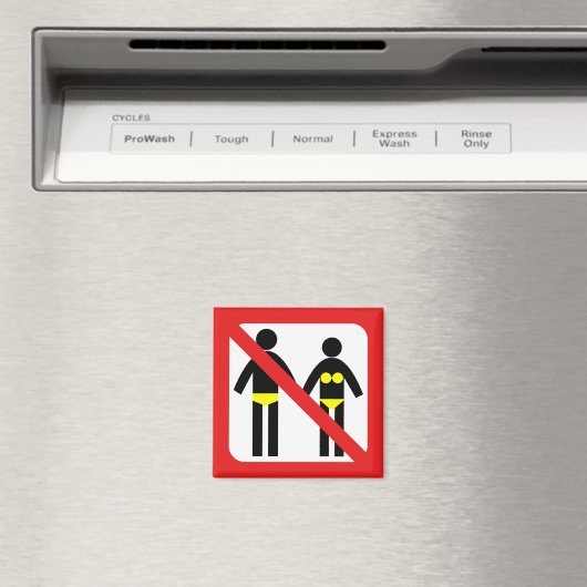 Geen zwembroek magneet (Insitu (Vaatwasser))