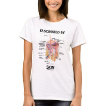 geënt op de huid (huidlagen)