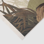 Geënte eend van Amerikaanse vogels (1827) Tissuepapier (Detail)