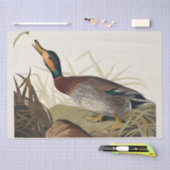 Geënte eend van Amerikaanse vogels (1827) Tissuepapier (Craft)