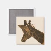 geënte giraffe in sepia magnet (Voorkant / Achterkant)