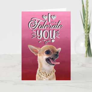 Geërgerde Chihuahua Valentijnsdag kerstkaart Feestdagen Kaart