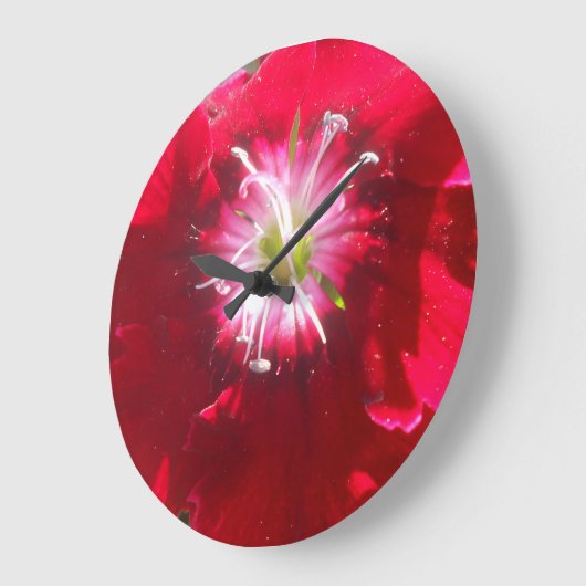 Geertje Grote Klok (Hoek)