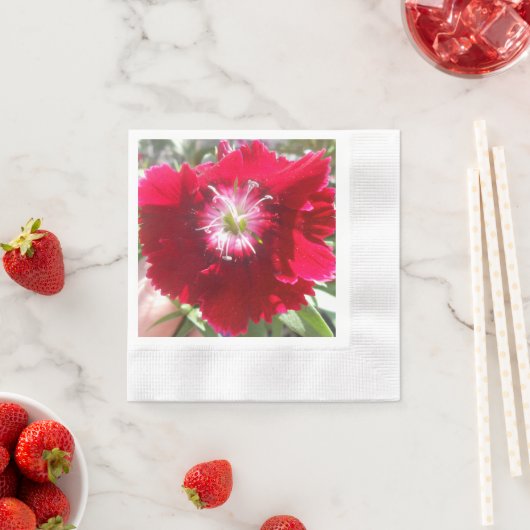 Geertje Servetten (Insitu)