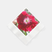 Geertje Servetten (Hoek)