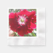 Geertje Servetten (Voorkant)