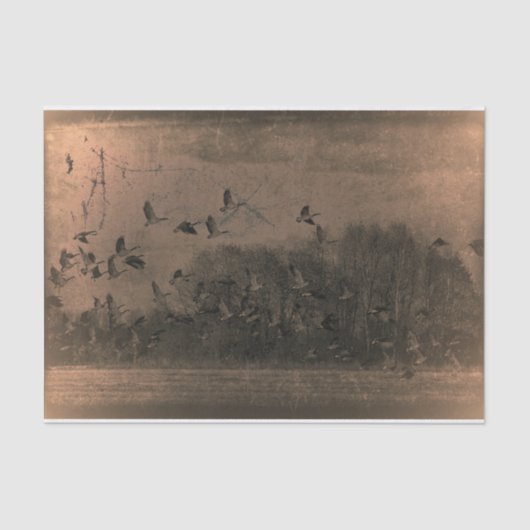 Geese Antiek bruine textuur Tissuepapier (Voorkant)