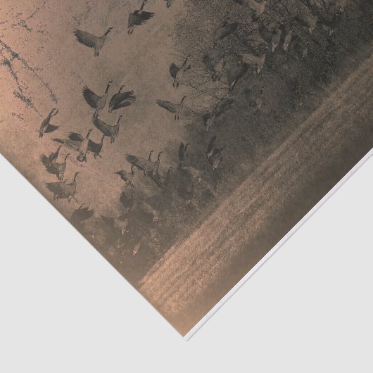 Geese Antiek bruine textuur Tissuepapier (Detail)