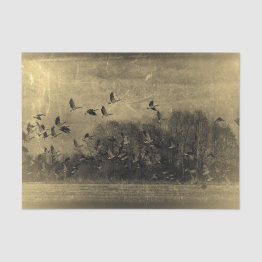 Geese Antiek Sepia Texture Grunge Tissuepapier (Voorkant)