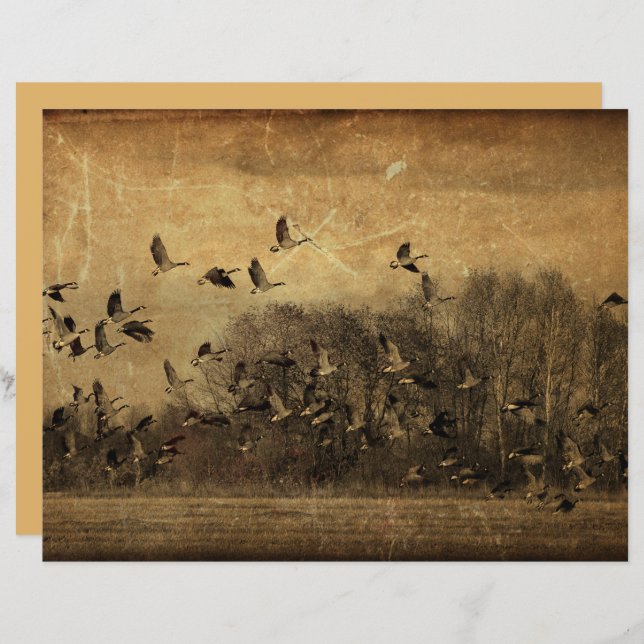Geese  Antiek Sepia Wildlife Texture (Voorkant / Achterkant)