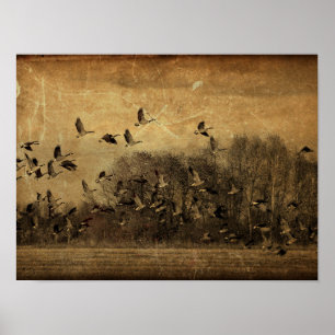 Geese  Antiek Sepia Wildlife Texture Poster