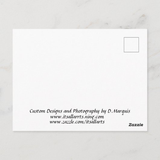 GEESE BRIEFKAART (Achterkant)