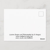 GEESE BRIEFKAART (Achterkant)