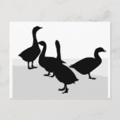 Geese Briefkaart (Voorkant)