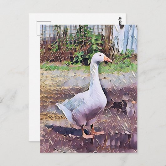 GEESE BRIEFKAART (Voorkant / Achterkant)