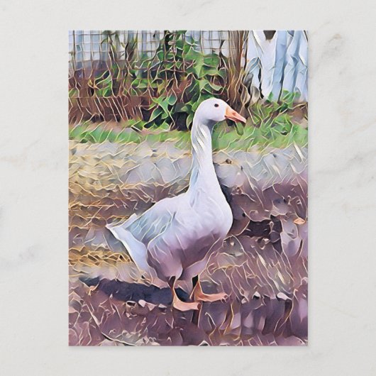 GEESE BRIEFKAART (Voorkant)