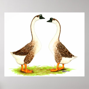 Geese: Bruin Chinees Poster