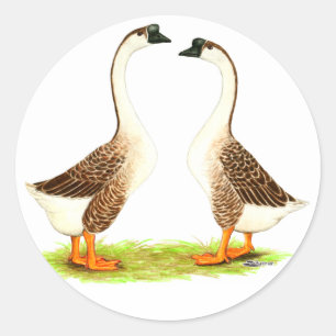 Geese: Bruin Chinees Ronde Sticker