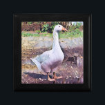 GEESE CADEAUDOOSJE<br><div class="desc">Een kunstontwerp van een gedomesticeerde gans.</div>